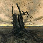 Tree Stump