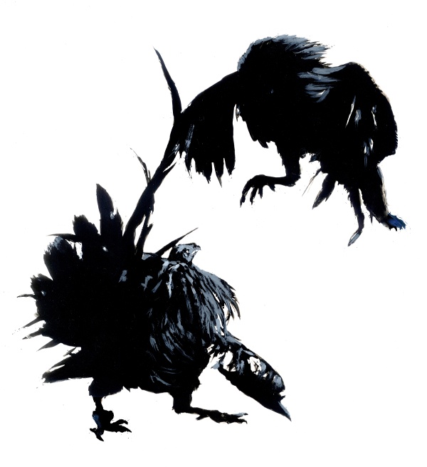 Fighting Cocks