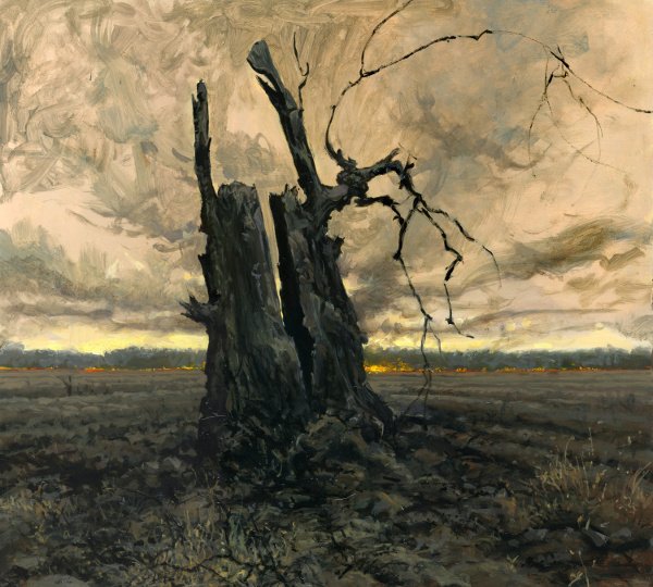 Tree Stump